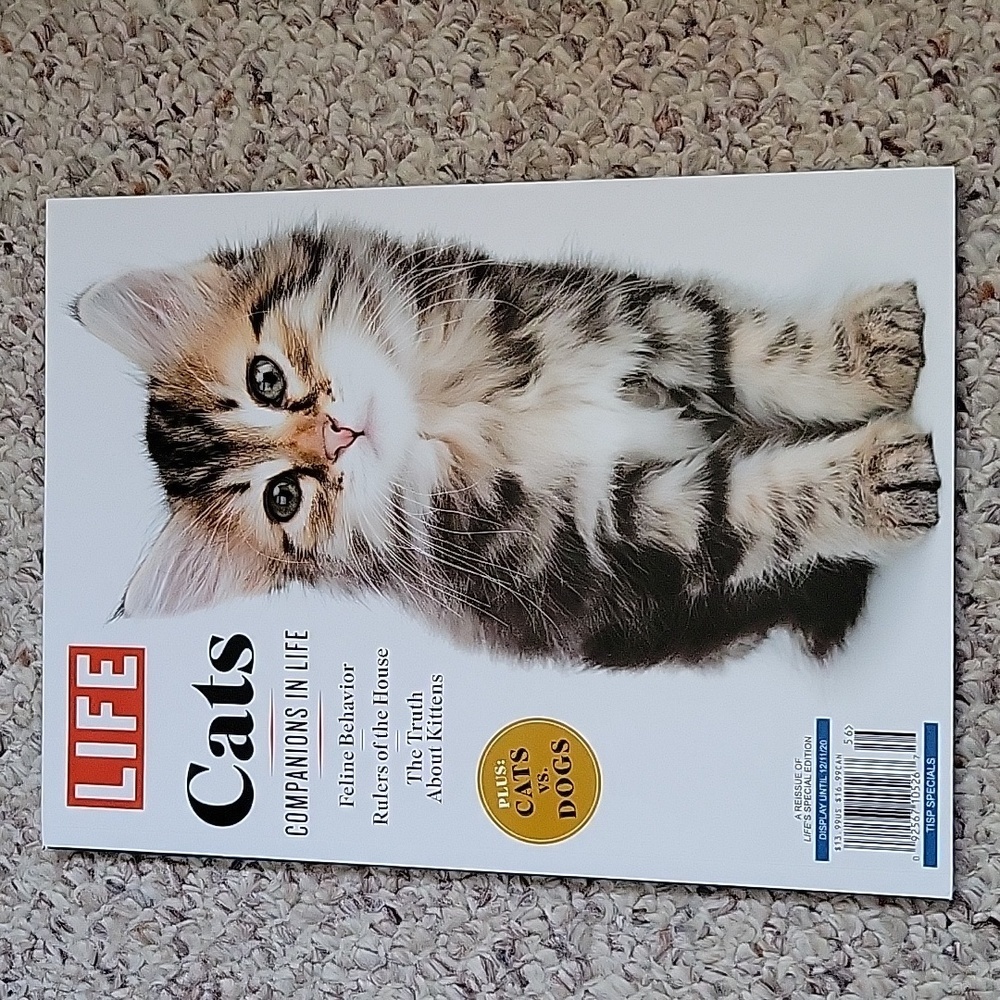 2019 LIFE Magazine "Cats: Companions in Life" Brand New Condition